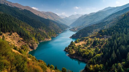 Obraz premium Aerial view of a large lake surrounded by green forest