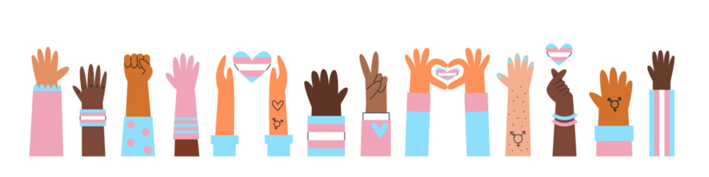 Transgender hands banner, awareness and visibility banner. Cisgender and genderqueer silhouettes with trans flag colors and symbols. Diversity concept.