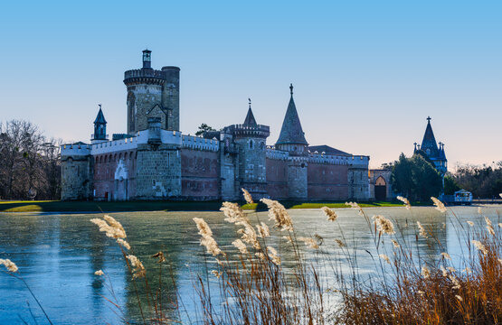 Franzensburg Castle Across Frozen Lake with Reeds in Winter