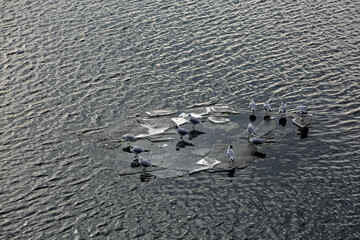 Fototapeta premium Erderwärmung