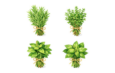 Obraz premium Aromatic herb bundles: rosemary, thyme, mint, basil on white background