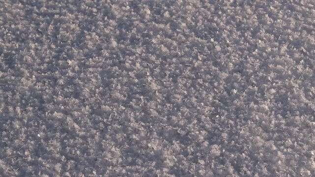 Snowy background with snow flakes close-up. The surface is covered with snow, snowflakes sparkle in the sun. The snowy surface shines in the sun. Winter background. Cold season