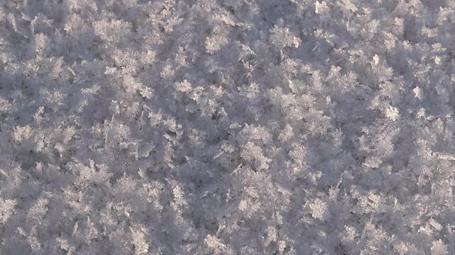 Snowy background with snow flakes close-up. The surface is covered with snow, snowflakes sparkle in the sun. The snowy surface shines in the sun. Winter background. Cold season
