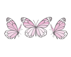 punk watercolor monarch butterfly on the white background