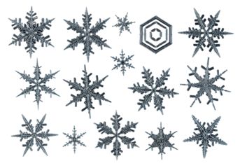 Extreme macro, focus-stacked image of a diverse collection of unique, glowing snowflakes (dendrites, hexagonal plates) against a pure black background. Concept of perfection nature and microcosm