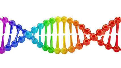 Colorful DNA Double Helix Model