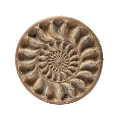 High-Resolution Photograph of a Spiral Ammonite Fossil on White Background
