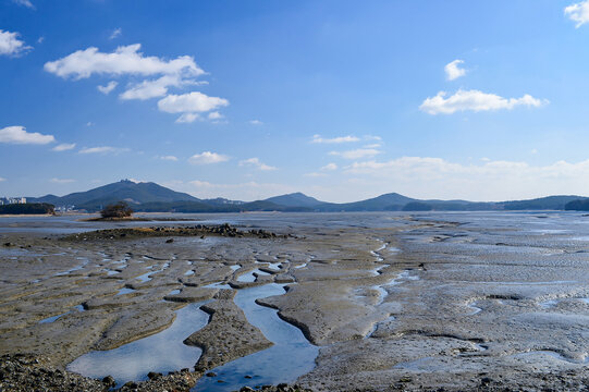 Beautiful natural tidal channels carved on a healthy mudflat during low tide in Korea