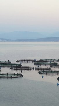 aegean, aquaculture, aquafarm, aquatic, bay, boat, breeding, cage, cages, catch, circle, commercial, corfu, cultivation, dorado, environment, europe, farm, farming, fish, fish farming, fish farms, fis