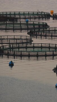 aegean, aquaculture, aquafarm, aquatic, bay, boat, breeding, cage, cages, catch, circle, commercial, corfu, cultivation, dorado, environment, europe, farm, farming, fish, fish farming, fish farms, fis