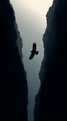 Falcon Silhouette in Steep Vertical Dive in Cinematic Frame Creates Powerful Wildlife Photography Moment Captured