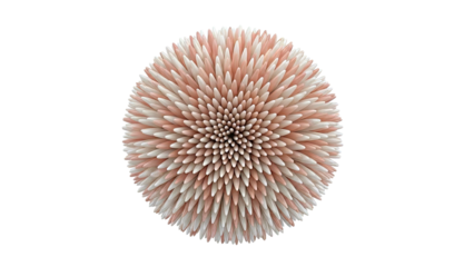 3D rendering of a spiky, spherical object with alternating peach and cream colors