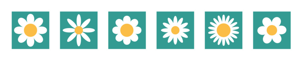 Flower chamomile vector icon. Cartoon camomile white retro spring floral icon design set