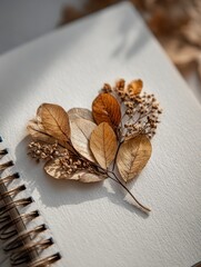 Pressed autumn leaves decoration rests on a blank spiral bound notebook page