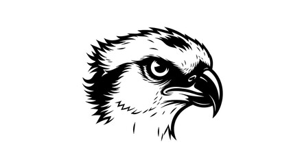 Obraz premium Osprey Head Illustration - A Sharp and Focused Gaze.