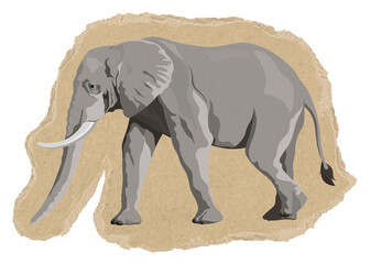 Fototapeta premium Elephant png sticker, torn paper transparent background