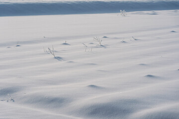 雪に覆われた畑