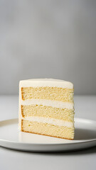 Vanilla Cake Slice with Cream Layers in Minimal Commercial Food