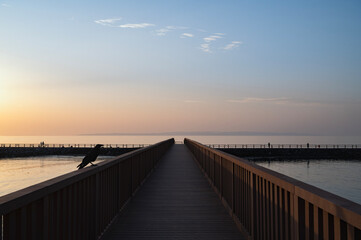 Fototapeta premium 新潟 釣離岸堤の夕景（出雲崎町）