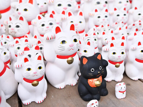 東京・豪徳寺の招き猫が並ぶ光景