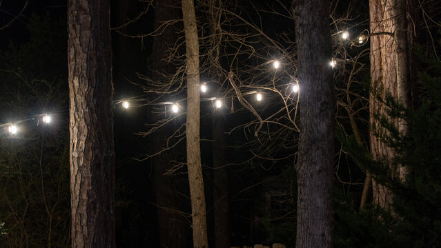 Close-up of warm string lights draped around a tree trunk in a dark forest setting for a cozy evening atmosphere - Powered by Adobe