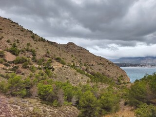 Obraz premium ridge overlooking bay, beautiful coastal ridge offers panoramic views of bay and surrounding pines