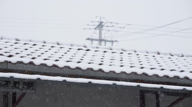 Snow-Covered Corrugated Roof in Winter Countryside