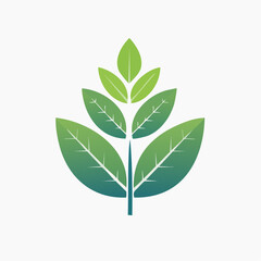 Stylized green leaf icon vector illustration for branding and design projects