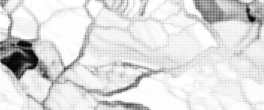 Vector abstract grunge halftone pattern, black dost texture background.