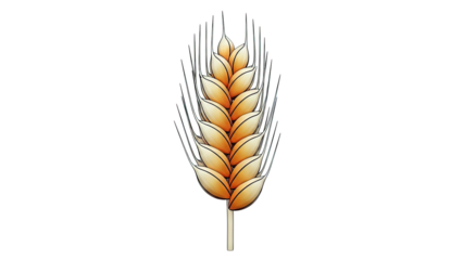 Illustration of a single wheat stalk