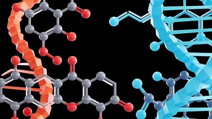 DNA molecular structure