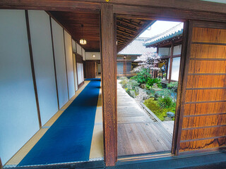 早春、京都の神社やお寺の境内や庭園では、梅の花が満開になります