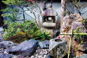 早春、京都の神社やお寺の境内や庭園では、梅の花が満開になります