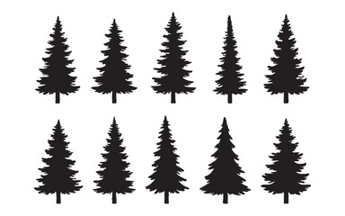 Obraz premium A winter forest illustration with green fir trees, fir branches, and ferns creating a festive Christmas holiday scene