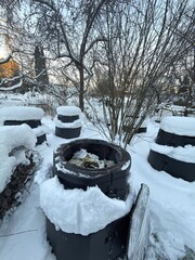 Open compost bin with visible food waste in snowy garden &ndash; winter decomposition under snow cover