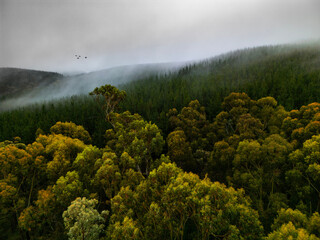 Drone aerial view of misty mountain farmland, showing rural agricultural paddocks, forested valleys and rolling highlands under low cloud and fog.