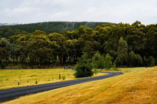 Drone aerial view of misty mountain farmland, showing rural agricultural paddocks, forested valleys and rolling highlands under low cloud and fog. - Powered by Adobe