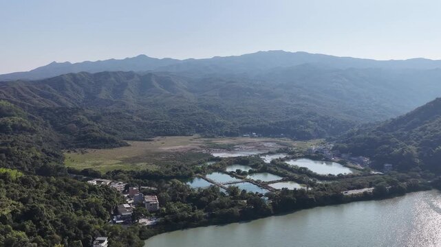 Jan 3 2026 Luk Keng Fish Pond: Tranquil Nature and Wildlife Spot