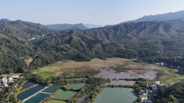Jan 3 2026 Luk Keng Fish Pond: Tranquil Nature and Wildlife Spot