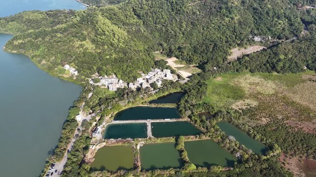 Jan 3 2026 Luk Keng Fish Pond: Tranquil Nature and Wildlife Spot