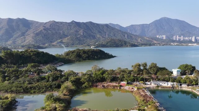 Jan 3 2026 Luk Keng Fish Pond: Tranquil Nature and Wildlife Spot