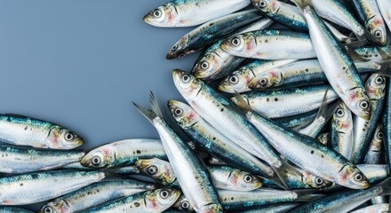 Obraz premium A group of sardines on a blue background.