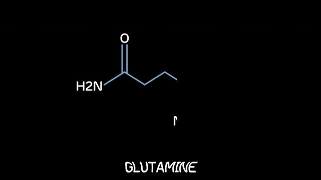 Glutamine Molecular Structure Displayed, chemistry