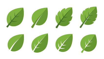 Set of Green Leaf Icons with Veins and Serrated Edges