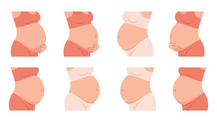 Pregnant Belly Stages Collection Vector Illustration