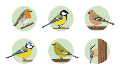 Collection of flat design garden bird illustrations on white background © jack