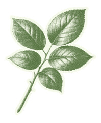 Botanical Green Leaf Branch Halftone Illustration isolated on transparent background, Generative AI