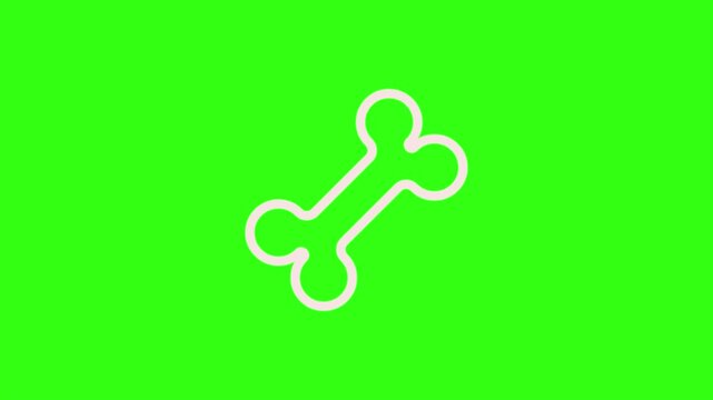 Bone motion design animation on green screen