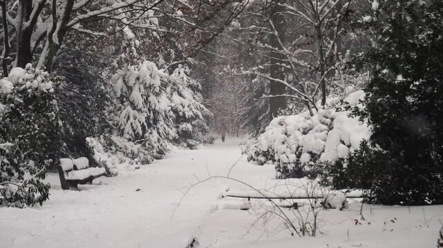 Footage of heavy snowfall in Hamburg City Park