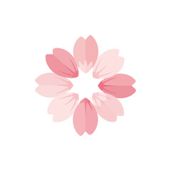 Soft Sakura Flower Top View